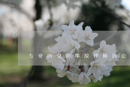 专业的交通事故律师诉讼在线咨询 专业的交通事故律师诉讼在线咨询