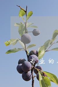 专业的人身损害纠纷律师在哪里 专业的人身损害纠纷律师在哪里
