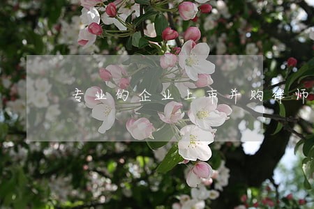 专业的企业上市并购律师服务 专业的企业上市并购律师服务