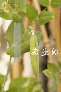 专业的债务律师团队 专业的债务律师团队