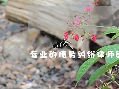 专业的债务纠纷律师的费用 专业的债务纠纷律师的费用