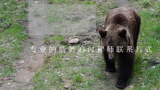 专业的债务追讨律师联系方式 专业的债务追讨律师联系方式