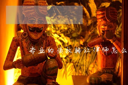 专业的债权转让律师怎么委托