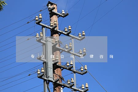 专业的公司法律咨询 专业的公司法律咨询