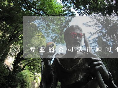 专业的公司法律顾问平台 专业的公司法律顾问平台