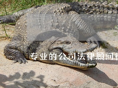 专业的公司法律顾问律师咨询 专业的公司法律顾问律师咨询