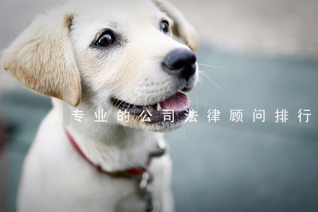 专业的公司法律顾问排行
