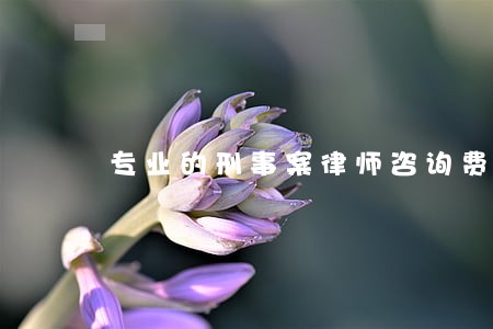 专业的刑事案律师咨询费用 专业的刑事案律师咨询费用
