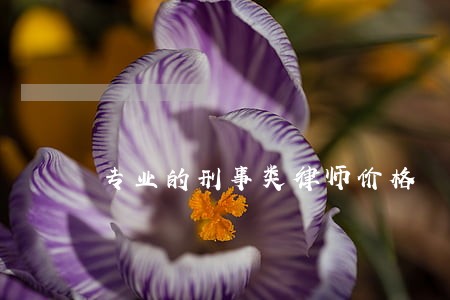 专业的刑事类律师价格 专业的刑事类律师价格