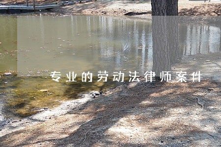 专业的劳动法律师案件 专业的劳动法律师案件