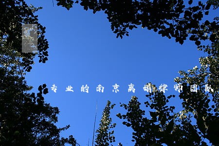 专业的南京离婚律师团队 专业的南京离婚律师团队