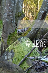 专业的合同违约案律师排名