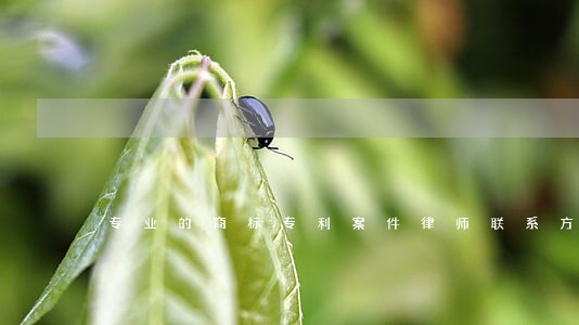 专业的商标专利案件律师联系方式 专业的商标专利案件律师联系方式