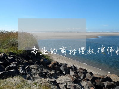 专业的商标侵权律师收费标准 专业的商标侵权律师收费标准