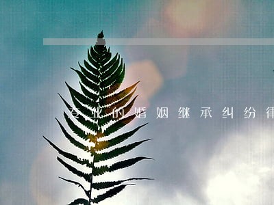 专业的婚姻继承纠纷律师办公电话 专业的婚姻继承纠纷律师办公电话