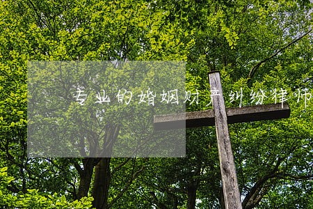 专业的婚姻财产纠纷律师多少钱 专业的婚姻财产纠纷律师多少钱
