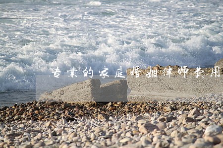 专业的家庭婚姻律师费用标准