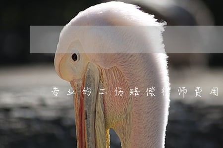 专业的工伤赔偿律师费用 专业的工伤赔偿律师费用