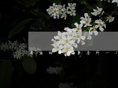 专业的律师事务所一小时多少钱 专业的律师事务所一小时多少钱