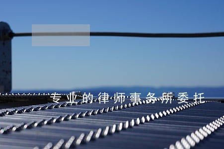 专业的律师事务所委托 专业的律师事务所委托