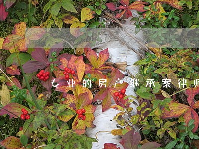 专业的房产继承案律师网站 专业的房产继承案律师网站