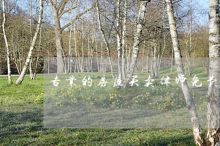 专业的房屋买卖律师免费咨询 专业的房屋买卖律师免费咨询