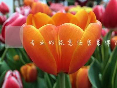 专业的故意伤害案律师有哪些 专业的故意伤害案律师有哪些