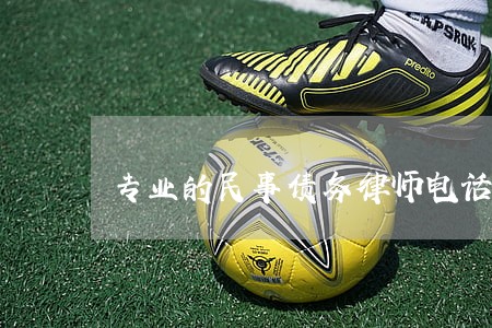 专业的民事债务律师电话 专业的民事债务律师电话