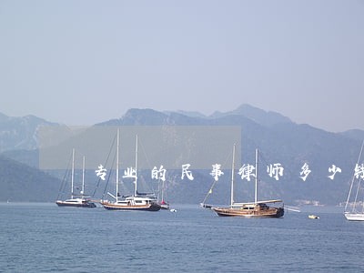 专业的民事律师多少钱 专业的民事律师多少钱