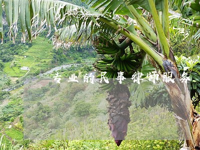 专业的民事律师服务 专业的民事律师服务