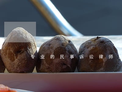专业的民事诉讼律师多少钱