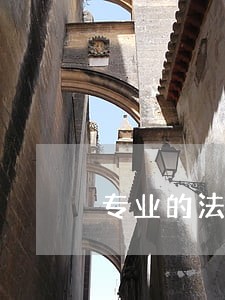 专业的法律咨询免费 专业的法律咨询免费