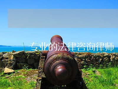 专业的法律咨询律师 专业的法律咨询律师
