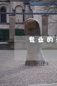 专业的法律咨询机构 专业的法律咨询机构