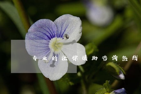 专业的法律援助咨询热线 专业的法律援助咨询热线