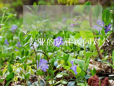 专业的法律顾问对公司有什么作用 专业的法律顾问对公司有什么作用