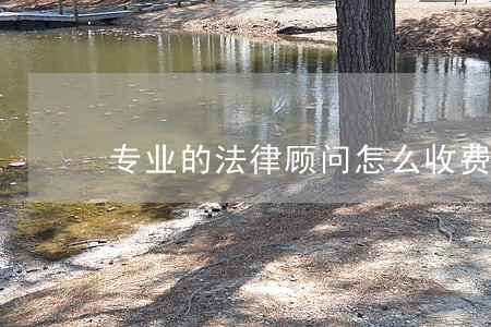 专业的法律顾问怎么收费 专业的法律顾问怎么收费