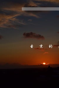 专业的法律顾问服务方案 专业的法律顾问服务方案