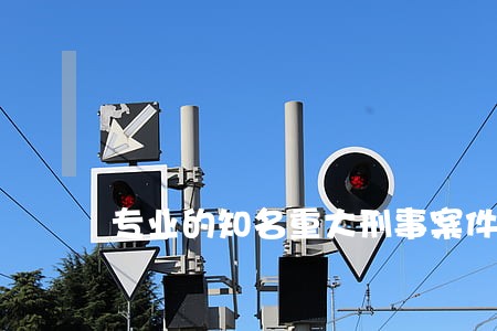 专业的知名重大刑事案件律师咨询 专业的知名重大刑事案件律师咨询