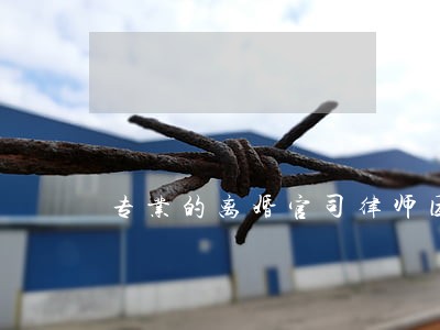 专业的离婚官司律师团队 专业的离婚官司律师团队