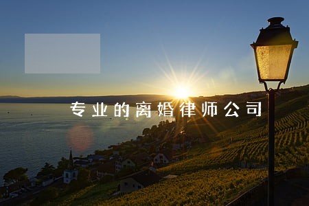 专业的离婚律师公司 专业的离婚律师公司