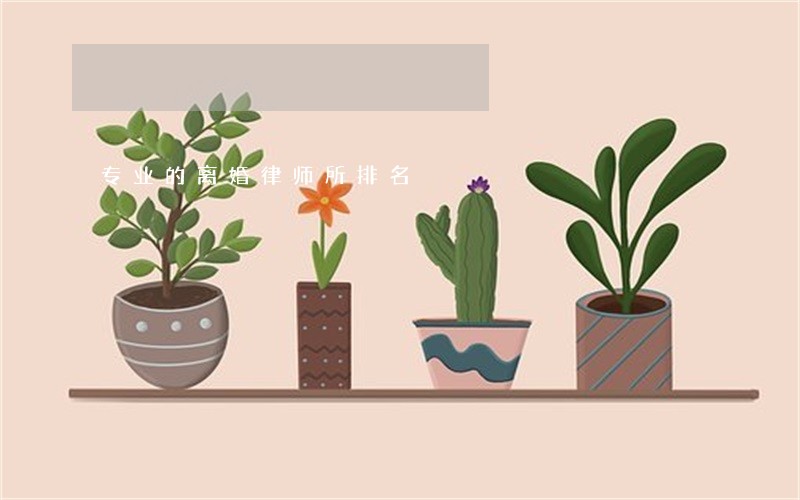 专业的离婚律师所排名 专业的离婚律师所排名