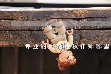 专业的离婚股权律师哪里找 专业的离婚股权律师哪里找