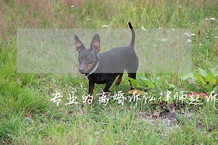 专业的离婚诉讼律师起诉费用