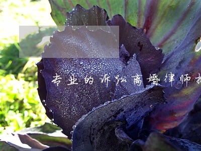 专业的诉讼离婚律师排名