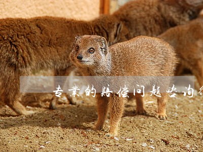 专业的赔偿问题咨询律师推荐 专业的赔偿问题咨询律师推荐