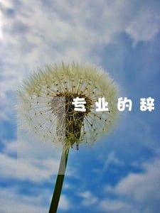 专业的辞退纠纷律师咨询 专业的辞退纠纷律师咨询