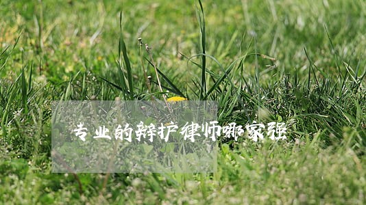 专业的辩护律师哪家强 专业的辩护律师哪家强