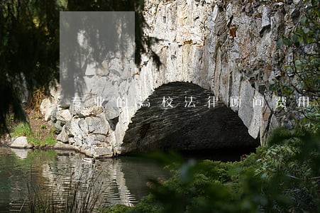 专业的高校法律顾问费用 专业的高校法律顾问费用