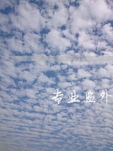 专业监外执行律师免费咨询 专业监外执行律师免费咨询